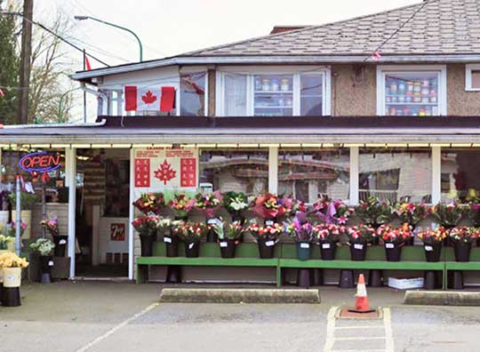 Our Flower Store